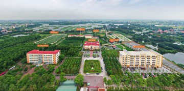 hinhanh