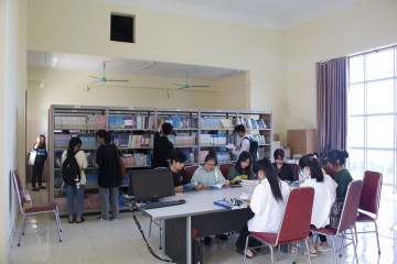 hinhanh