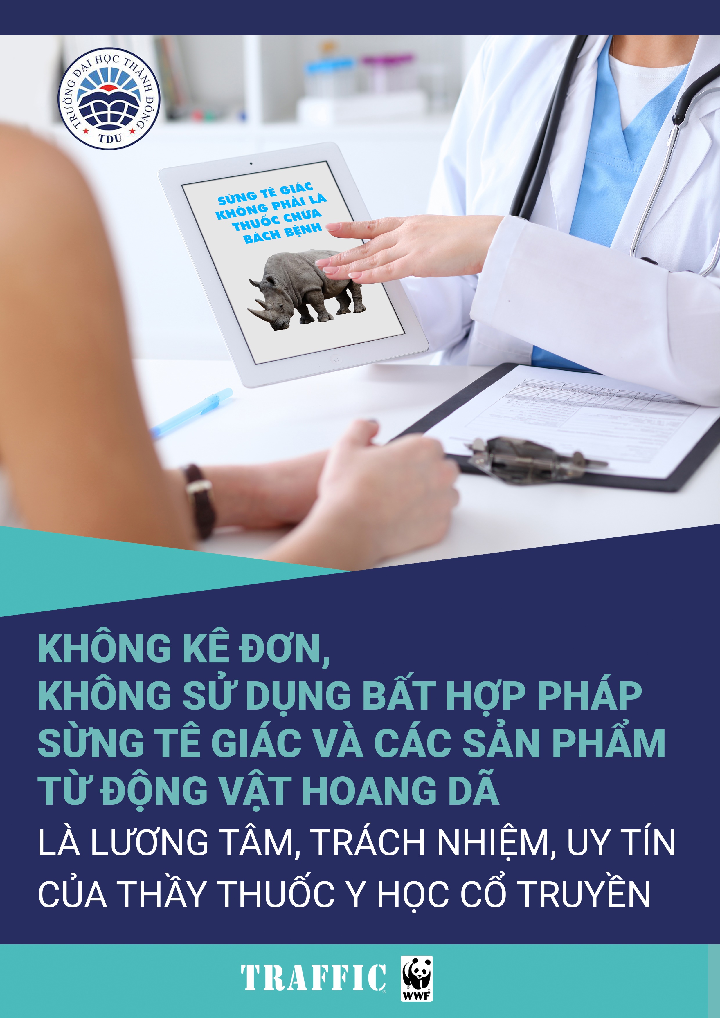 hinhanh