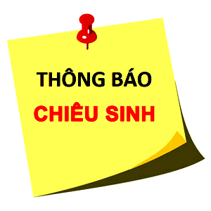 hinhanh