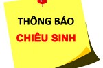 hinhanh